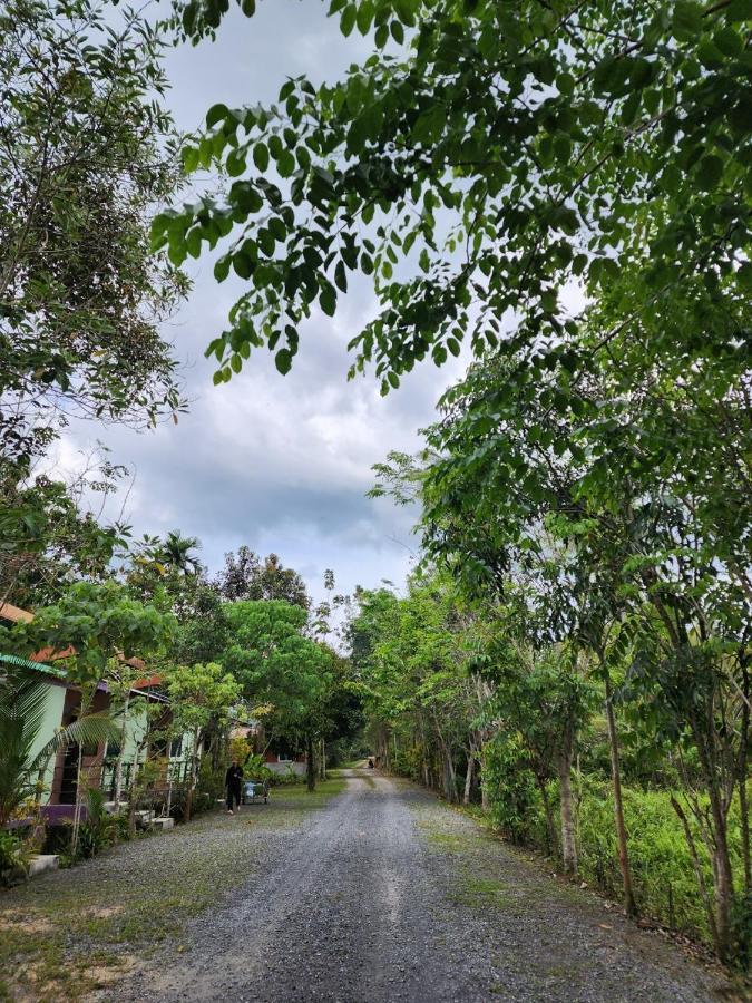 Suankafae Resort สวนกาแฟรีสอร์ท Surat Thani Exteriér fotografie
