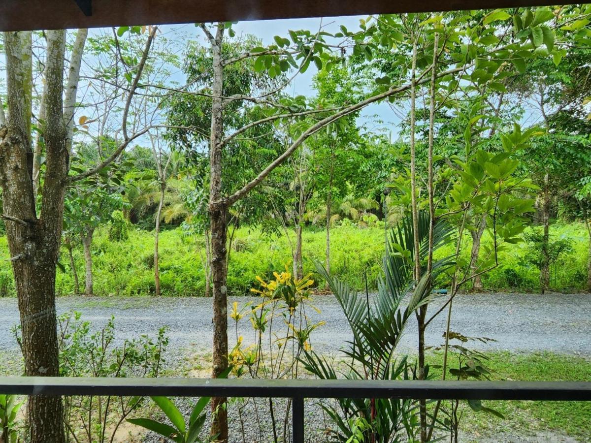 Suankafae Resort สวนกาแฟรีสอร์ท Surat Thani Exteriér fotografie