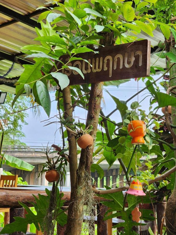 Suankafae Resort สวนกาแฟรีสอร์ท Surat Thani Exteriér fotografie