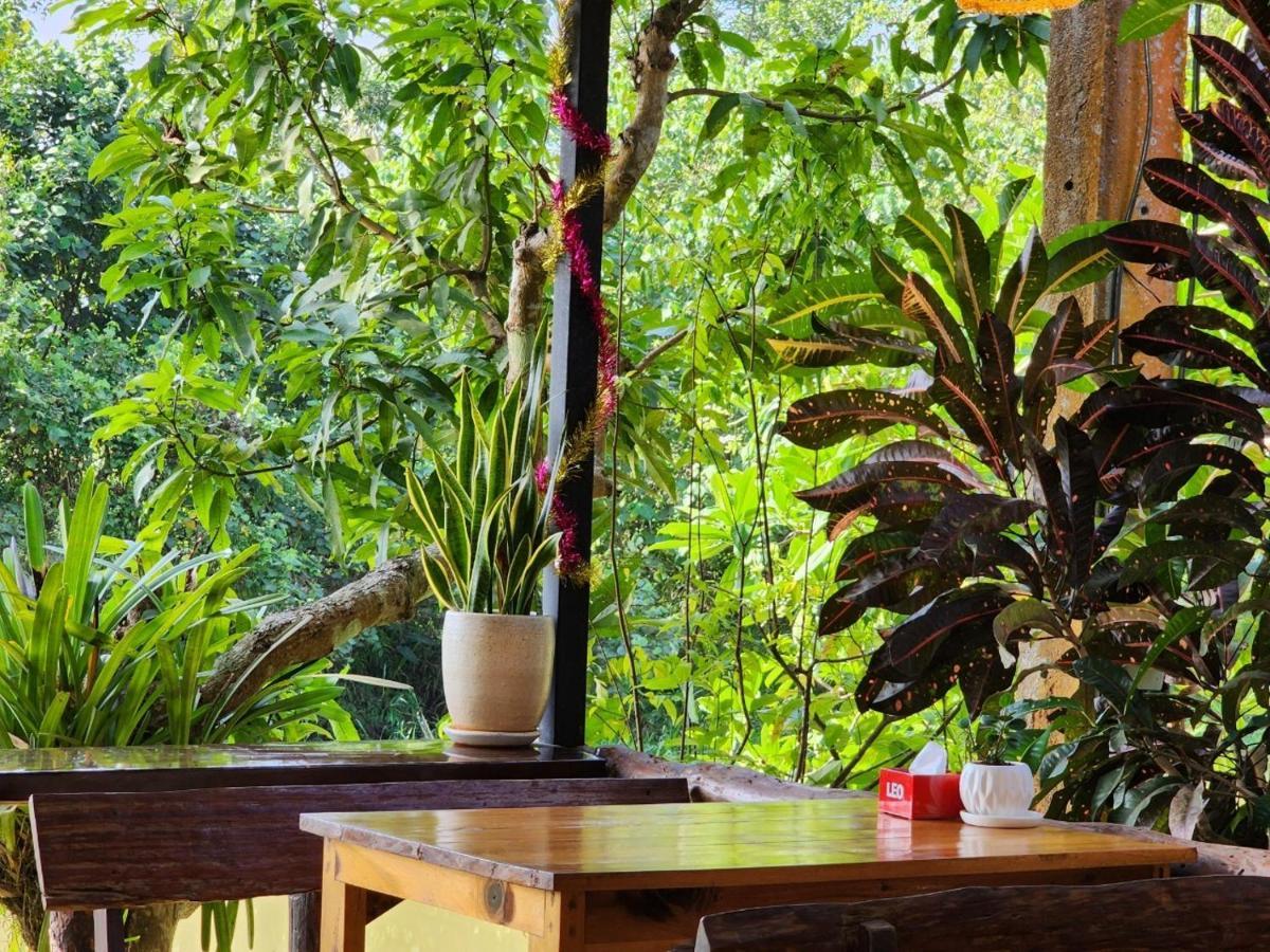 Suankafae Resort สวนกาแฟรีสอร์ท Surat Thani Exteriér fotografie