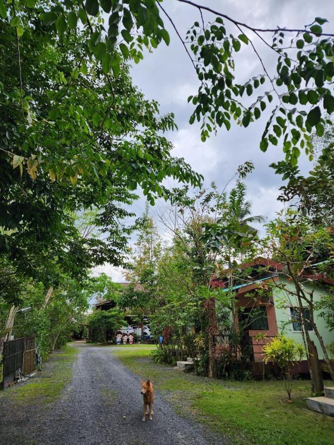 Suankafae Resort สวนกาแฟรีสอร์ท Surat Thani Exteriér fotografie