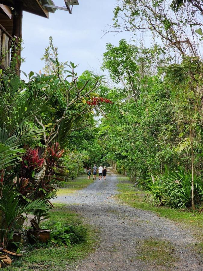 Suankafae Resort สวนกาแฟรีสอร์ท Surat Thani Exteriér fotografie