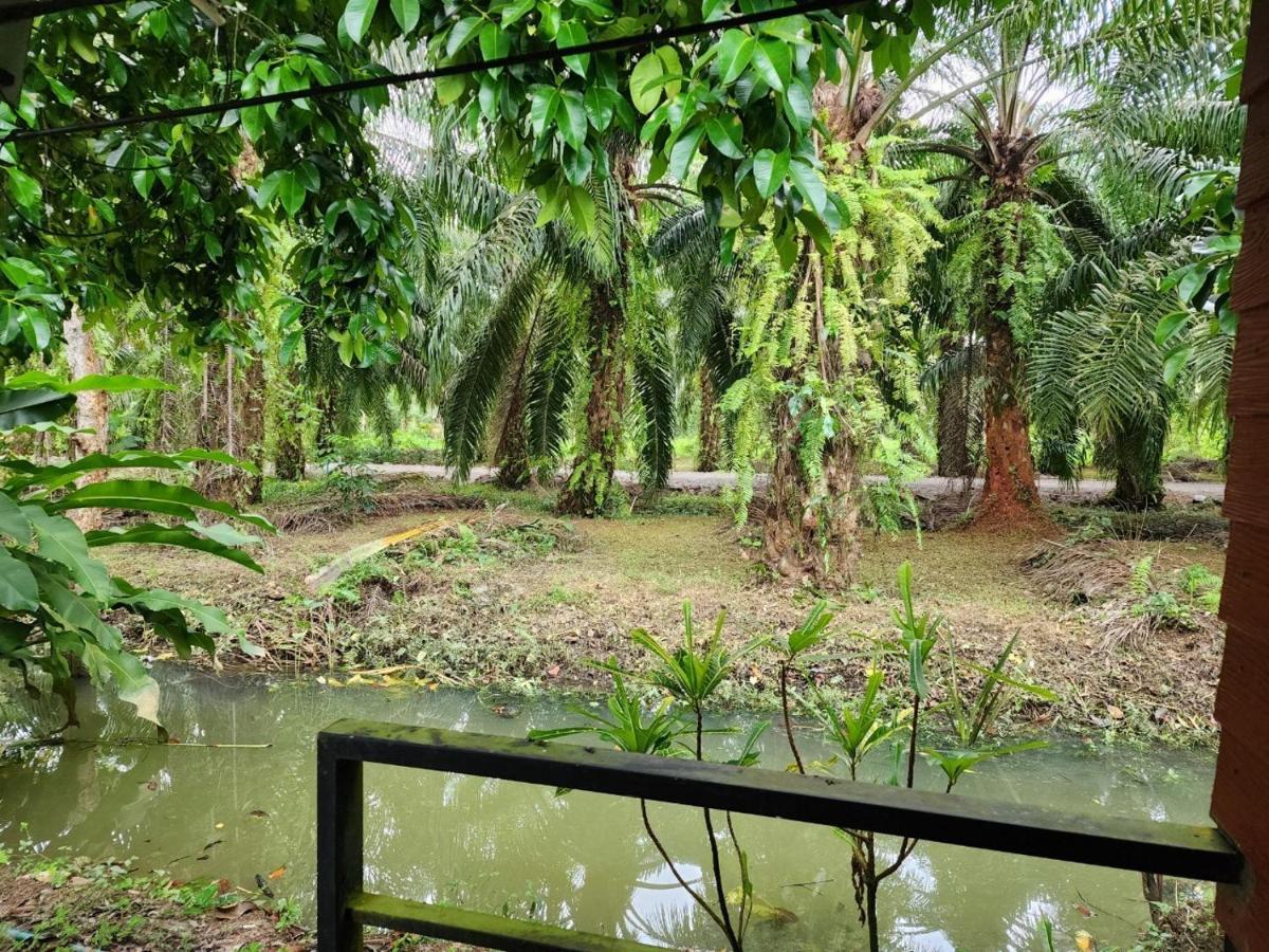 Suankafae Resort สวนกาแฟรีสอร์ท Surat Thani Exteriér fotografie