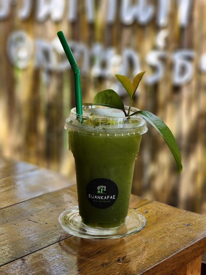 Suankafae Resort สวนกาแฟรีสอร์ท Surat Thani Exteriér fotografie